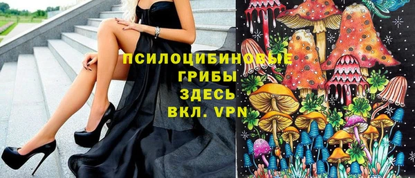 дмт Алексин