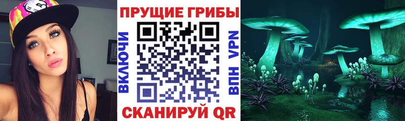 наркота  Обнинск  Псилоцибиновые грибы Psilocybine cubensis 